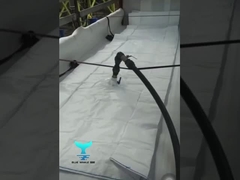 Flexitank Price 20000l Flexitank Truck PE তেলের পাত্রে লেটেক্স Flexitank প্যাকেজিং উপাদান